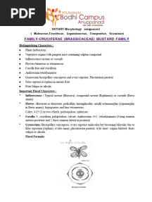Bot-Morphology New Families Assignments