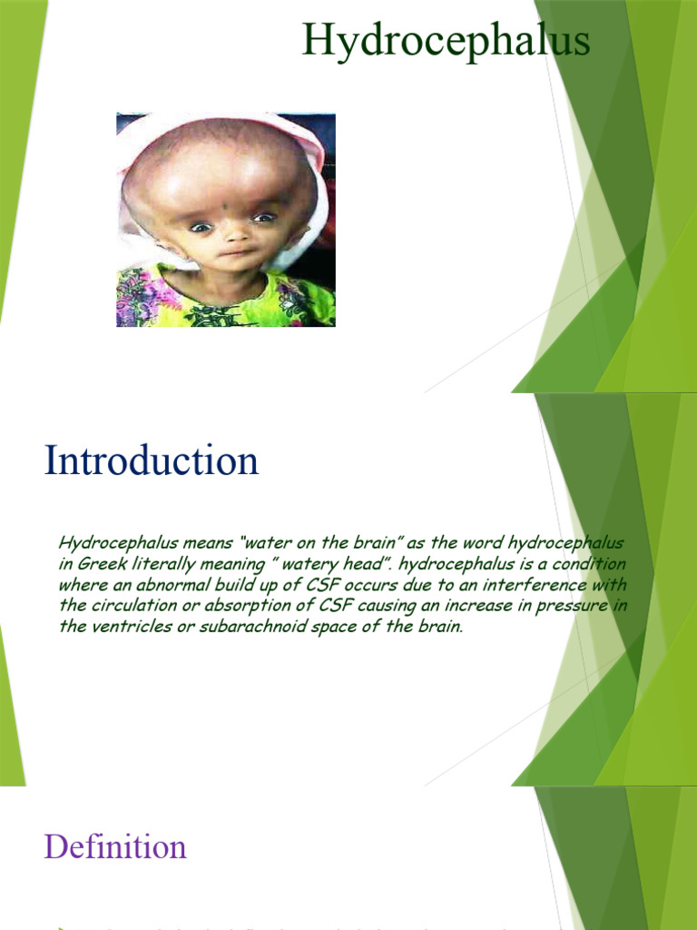 Overview of Hydrocephalus in Pediatrics | PDF | Cerebrospinal Fluid ...