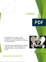 6.-Biomecanica de Cadera