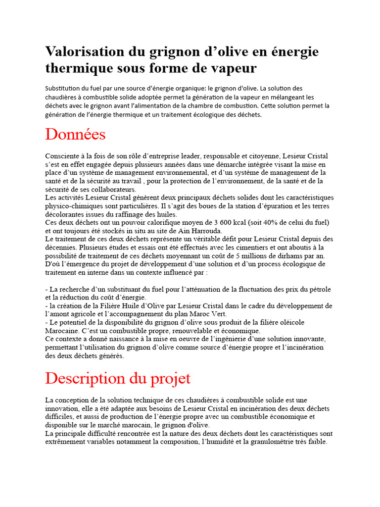 Valorisation énergétique du grignon d'olive | PDF | Incinération ...