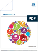 Tata Chem Annual_report2010-11