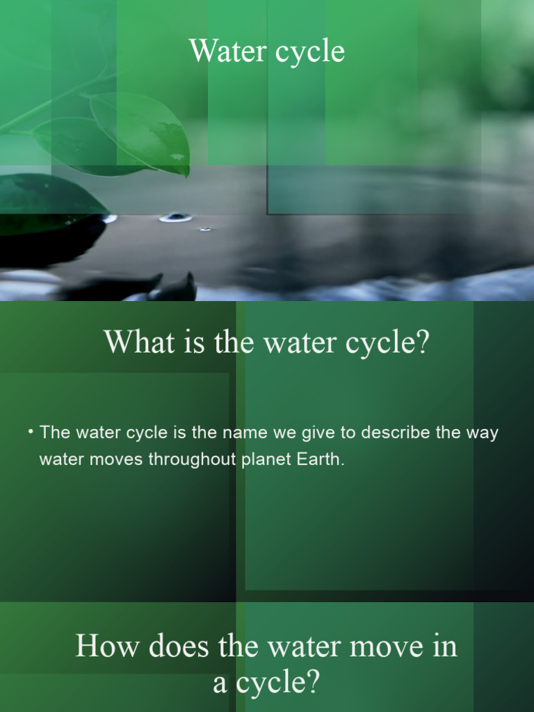 The Water Cycle | PDF