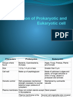 1.4.2 Comparison of Prokaryotic and Eukaryotic Cell