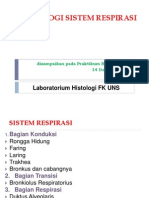 Histologi Sistem Respirasi