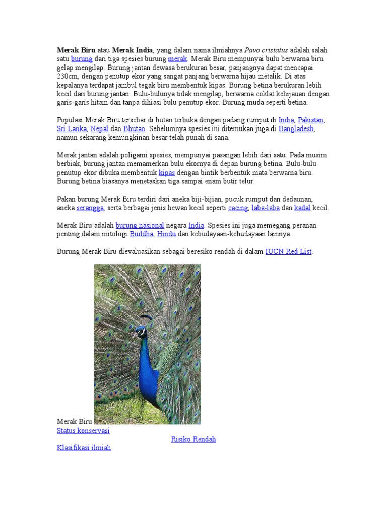 Merak Singa Buaya Kuda