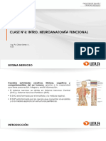 Clase 6 - Intro. Neuroanatomía Funcional