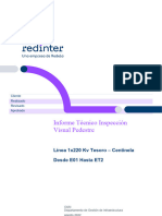 Informe Inpsección Visual Pedestre