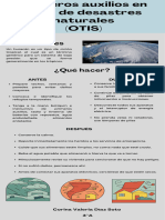 Primeros Auxilios en Caso de Desastres Naturales (OTIS)