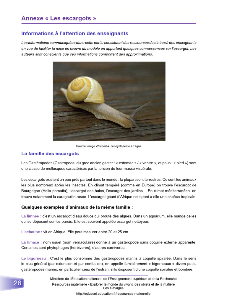 Anatomie et reproduction de l'escargot PDF Mollusques — free download