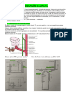 DESAGÜE CLOACAL-resumen