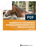 Hendra GuidelinesForVets