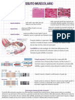 Scienze