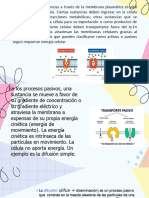 Transporte Membrana Plasmtica