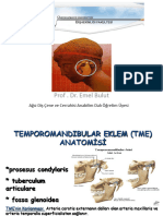 DHF - 302 - C-9 TME Anatomisi