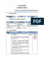 Cuarta Sesión Seguridad Humana