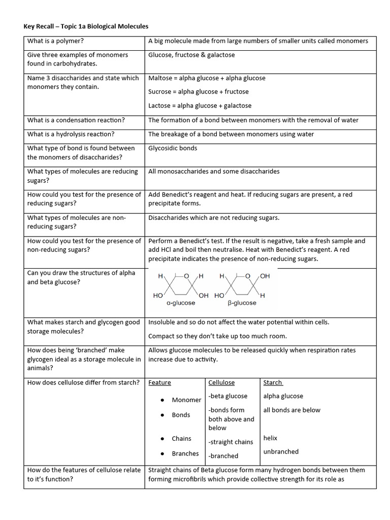 Y12 Key Recall Combined | PDF | Active Site | Immune System