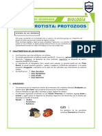 Reino Protista - 2°