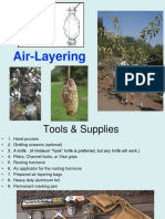 Air Layering Presentation