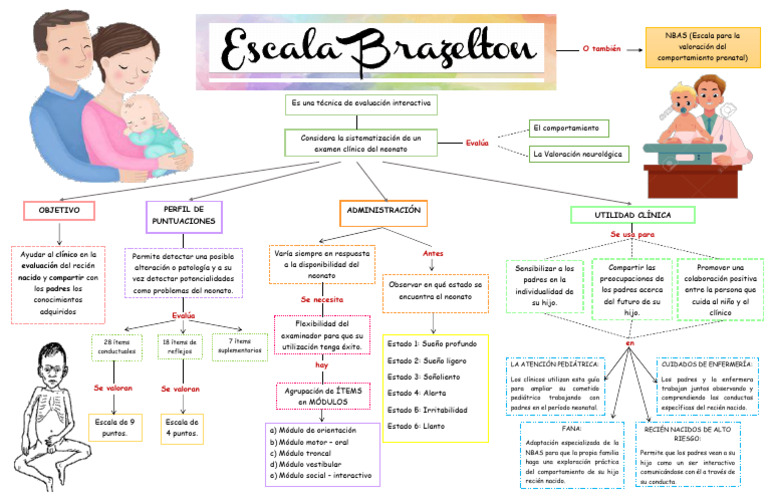Evaluación del Comportamiento Neonatal | PDF | Infantes | Cuidado de la ...