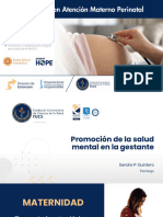 Promoción de La Salud Mental en La Gestante