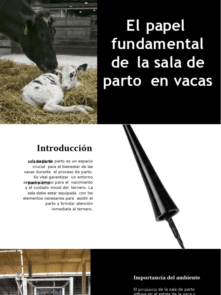 Trab 9 | PDF | Parto | Vacas