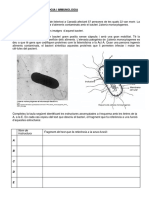 8253 20231010 Exercici Paus Microbiologia Immunologia 23 24