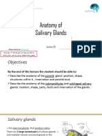 2 - Anatomy of Salivary Glands Edited