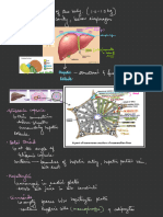 Digestion - 6