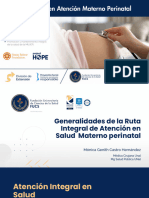 Generalidades de La Ruta Integral de Atención en Salud Materno Perinatal