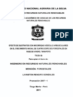 Tesis 1. Micorrizas - Arboles - Forestales Exposicion