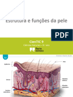 Ctic9 K4 Estrutura e Funções Da Pele