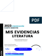 Mis Evidencias - Literatura