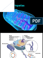Mitocondriopatias