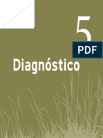 Cap05 Diagnostico Tcm30-161234