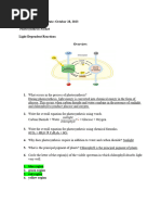 Photosynthesis Worksheet