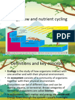 Energy Flow and Nutrient Cycling