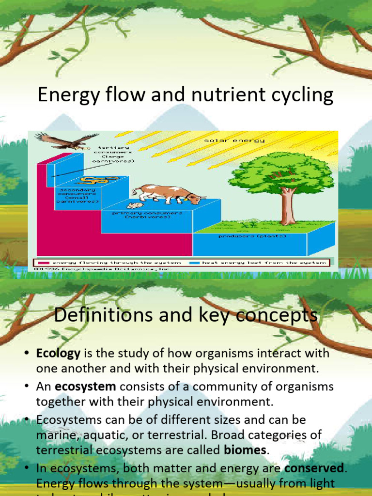 Energy Flow and Nutrient Cycling in Ecosystems | PDF | Ecosystem | Food Web