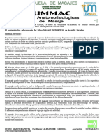 Guia Nfluencia Del Masaje Ummac Internacional