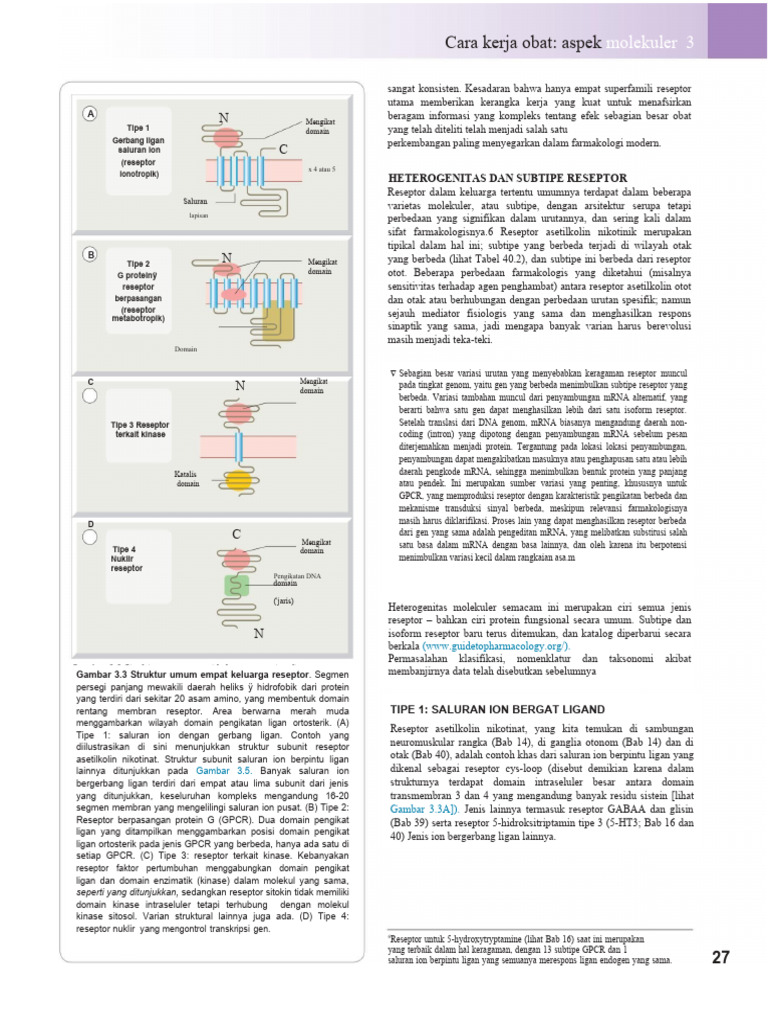 Struktur dan Fungsi Reseptor Protein | PDF | Sains & Matematika