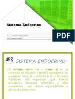 Sistema Endocrino