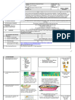 DO-42-s2016-patterned-DLL-TLE 9 - 2nd-4