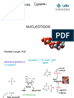 1 1 - Nucleotidos