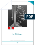 La Résilience