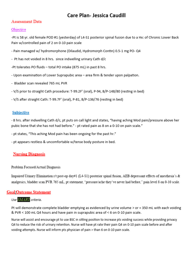 Care Plan Simulation Catheterization | PDF | Pain | Clinical Medicine
