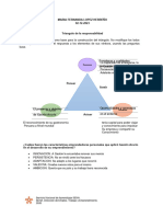 Anexo Formato Triangulo de La Responsabilidad