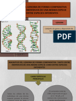 Biologia #5 ADN