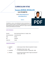 Curriculum Vitae Erika Roxana BORJA ZEVALLOS