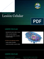 6 Lesión Celular