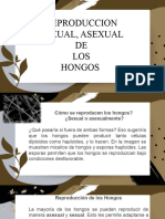 Reproduccion Asexual y Sexual de Los Hongos
