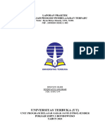 Laporan Prktik - Pembelajaran Terpadu - Sindiyatus Solihah